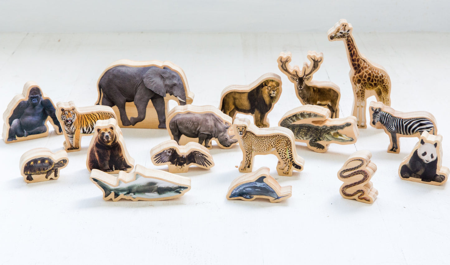 Wild Animals