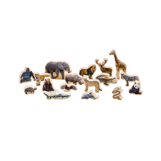 Wild Animals