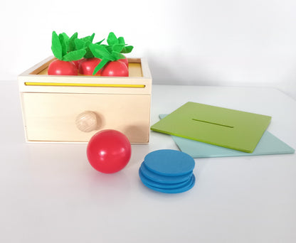 Montessori Box