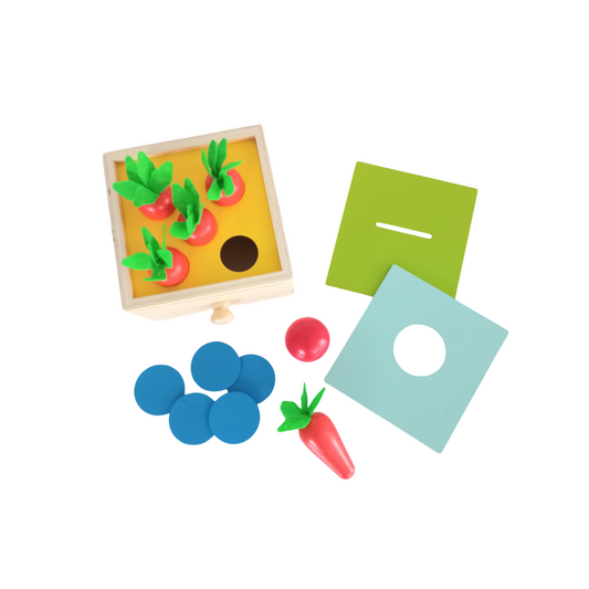 Montessori Box